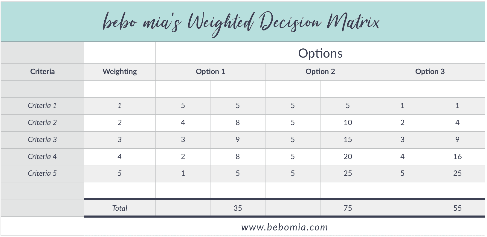 software, technology and organizational tools for your doula biz
